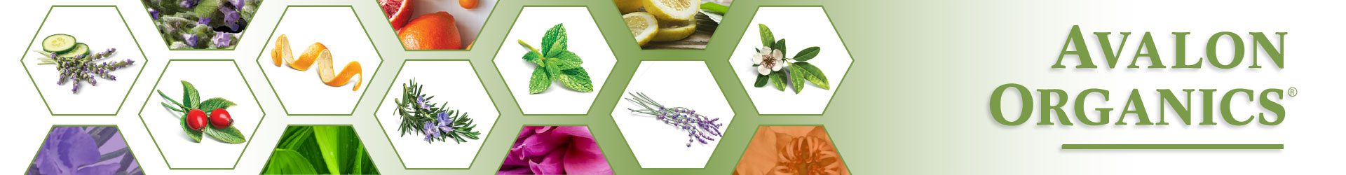 Avalon Organics